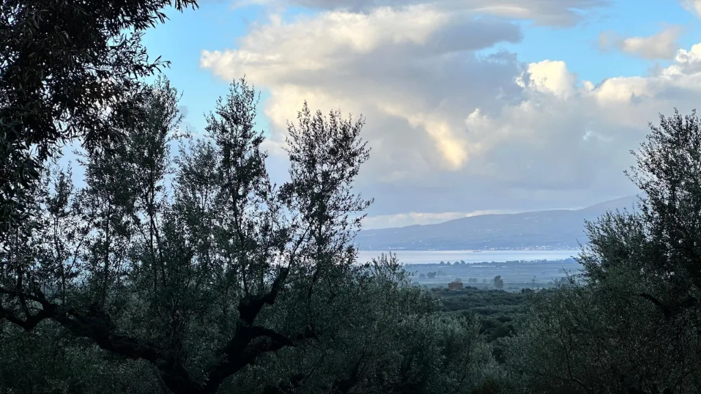 The sea view