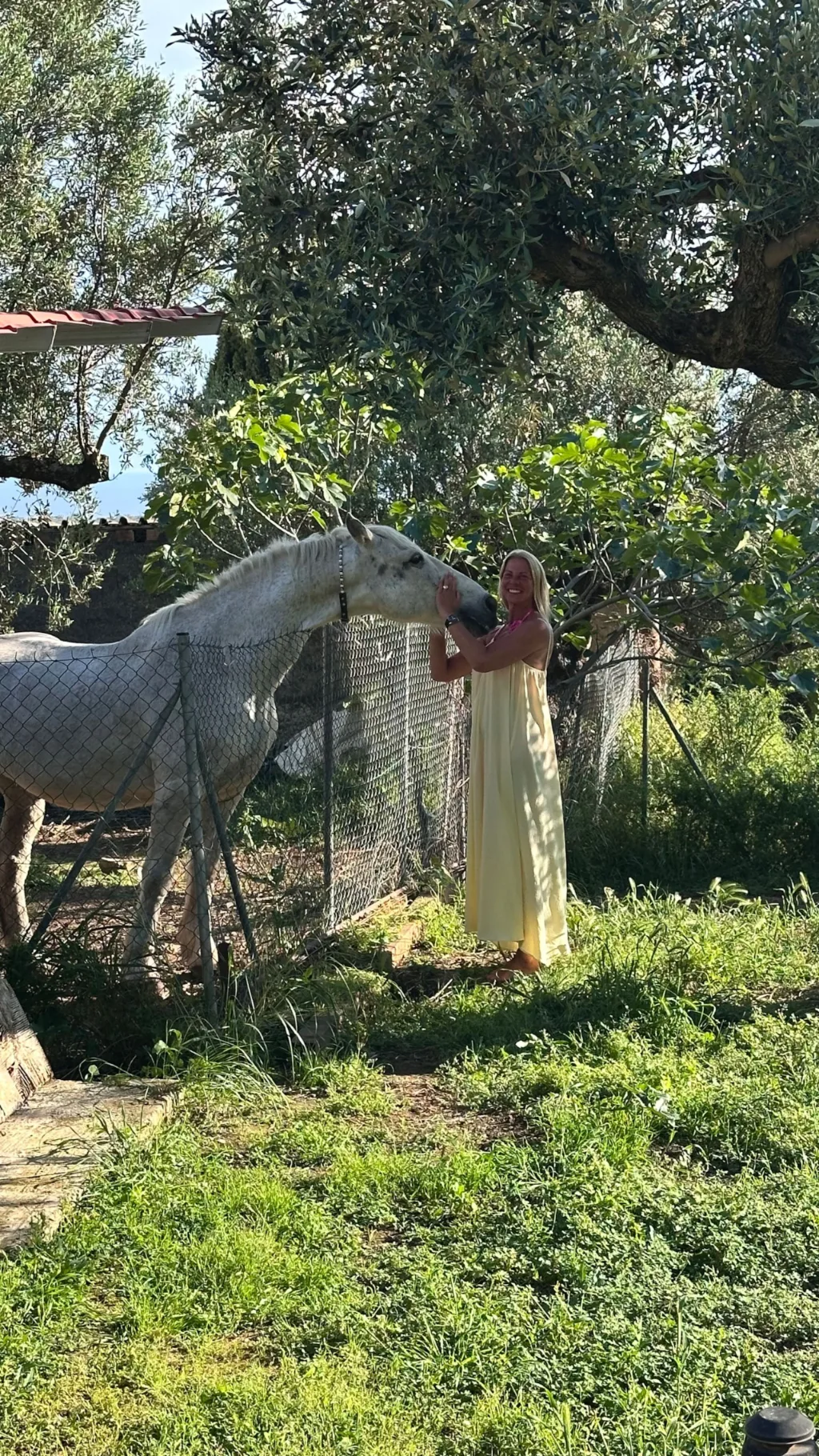 Villa Georgia — the house and the olive grove, Kalamata