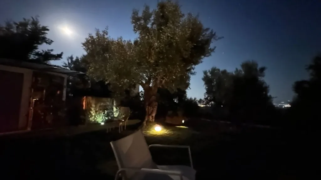 The garden and olive grove at Villa Georgia, Kalamata