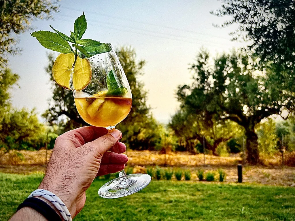 A cold drink with mint and lemon held up against the olive grove at golden hour
